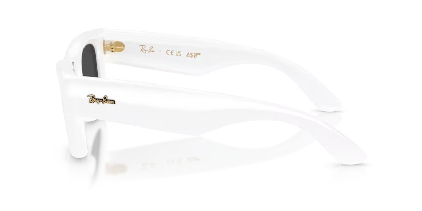 RAY-BAN 0RB4940 47 Unisex Güneş Gözlüğü %100 Orijinal ve Distribütör Garantili