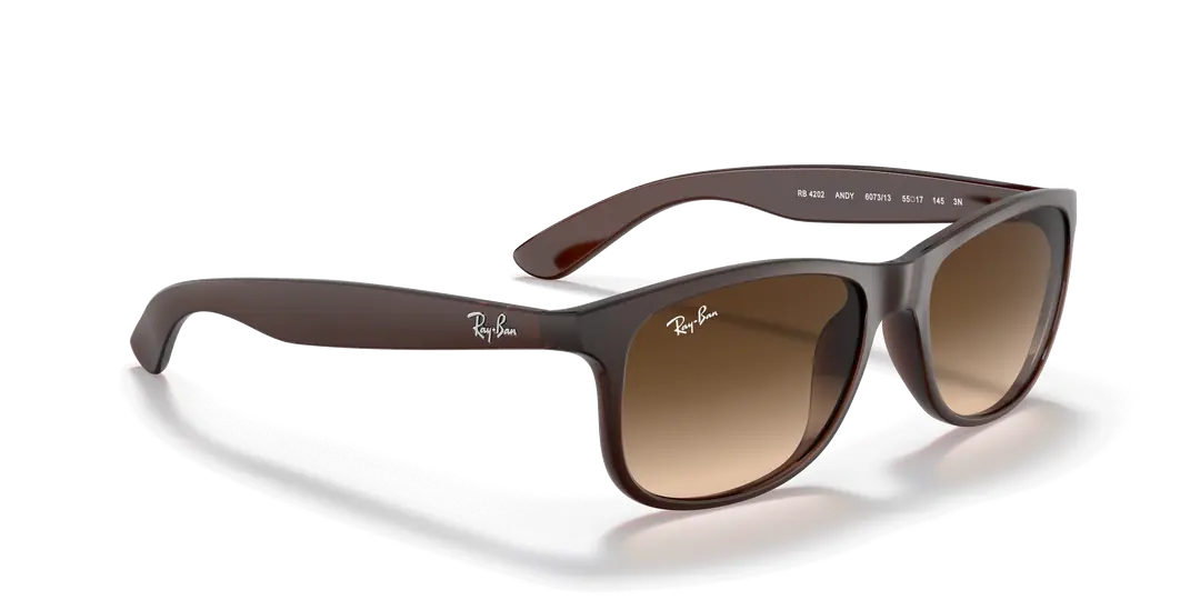 RAYBAN 0RB4202 607313 55 Erkek Güneş Gözlüğü Bu Ürüne Özel 9 Taksit İmkanı Sizinle!