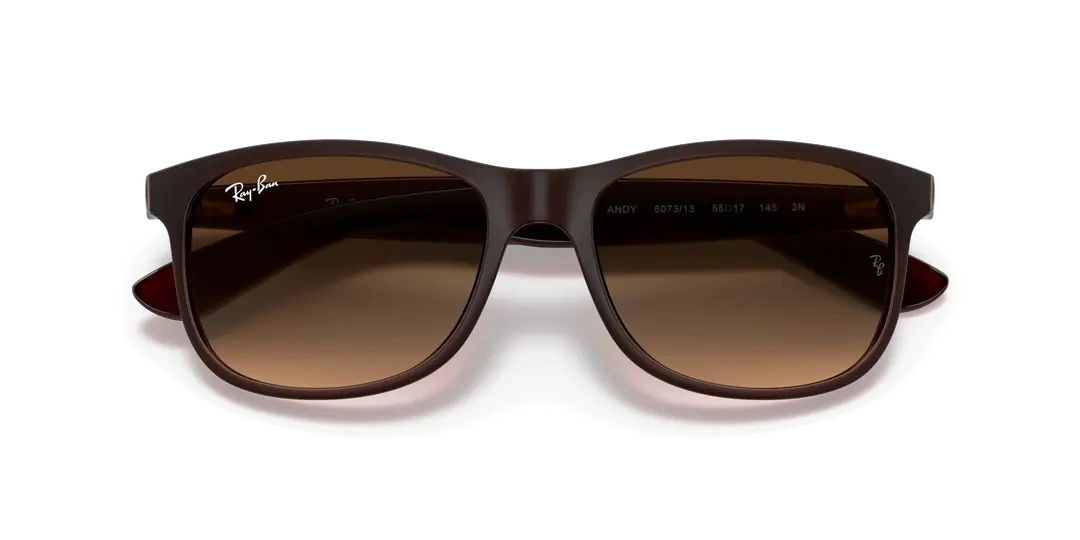RAYBAN 0RB4202 607313 55 Erkek Güneş Gözlüğü Bu Ürüne Özel 9 Taksit İmkanı Sizinle!
