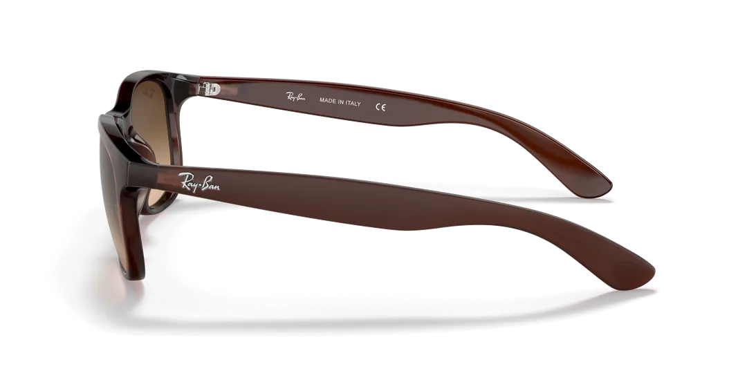 RAYBAN 0RB4202 607313 55 Erkek Güneş Gözlüğü Bu Ürüne Özel 9 Taksit İmkanı Sizinle!