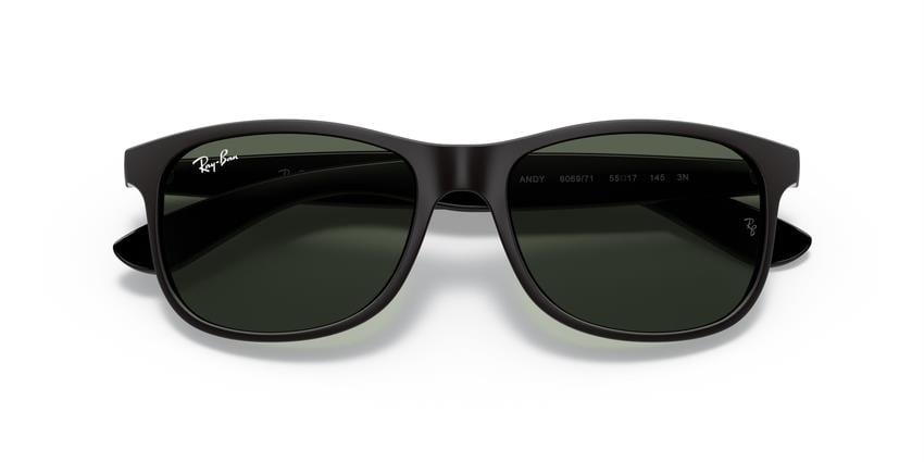 RAYBAN 4202 606971 55 Erkek Güneş Gözlüğü Bu Ürüne Özel 9 Taksit İmkanı Sizinle!