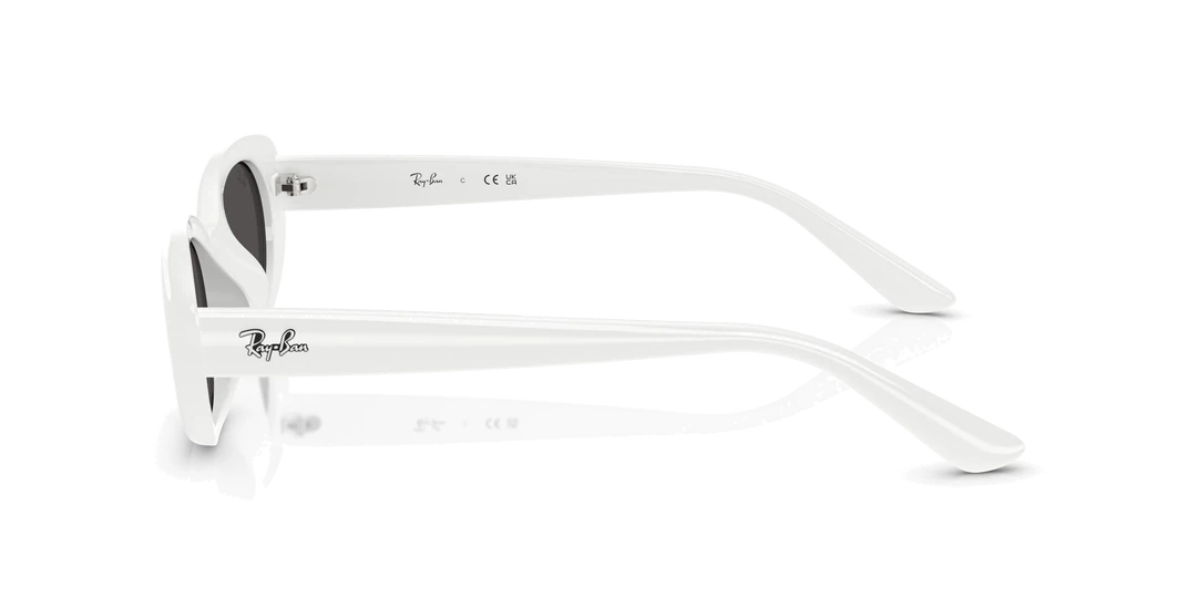 RAYBAN 4441D 667787 53 Kadın Güneş Gözlüğü Bu Ürüne Özel 9 Taksit İmkanı Sizinle!