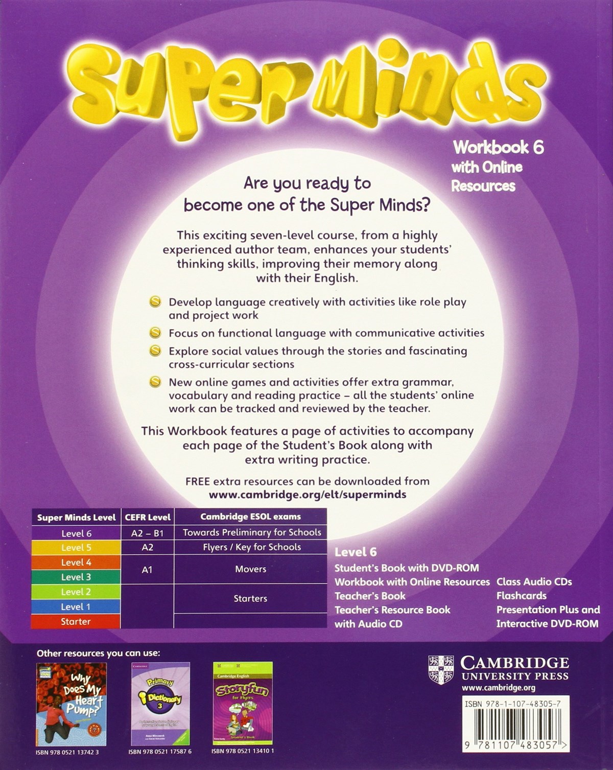 Super Minds Level 6 Workbook with Online Resources