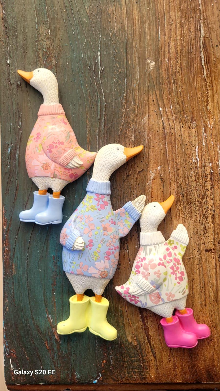 ECE AYMER ÇİZMELİ ÖRDEK SET