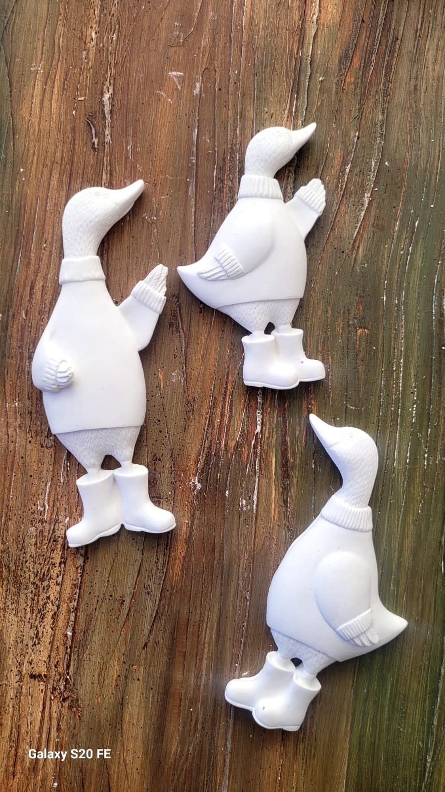 ECE AYMER ÇİZMELİ ÖRDEK SET