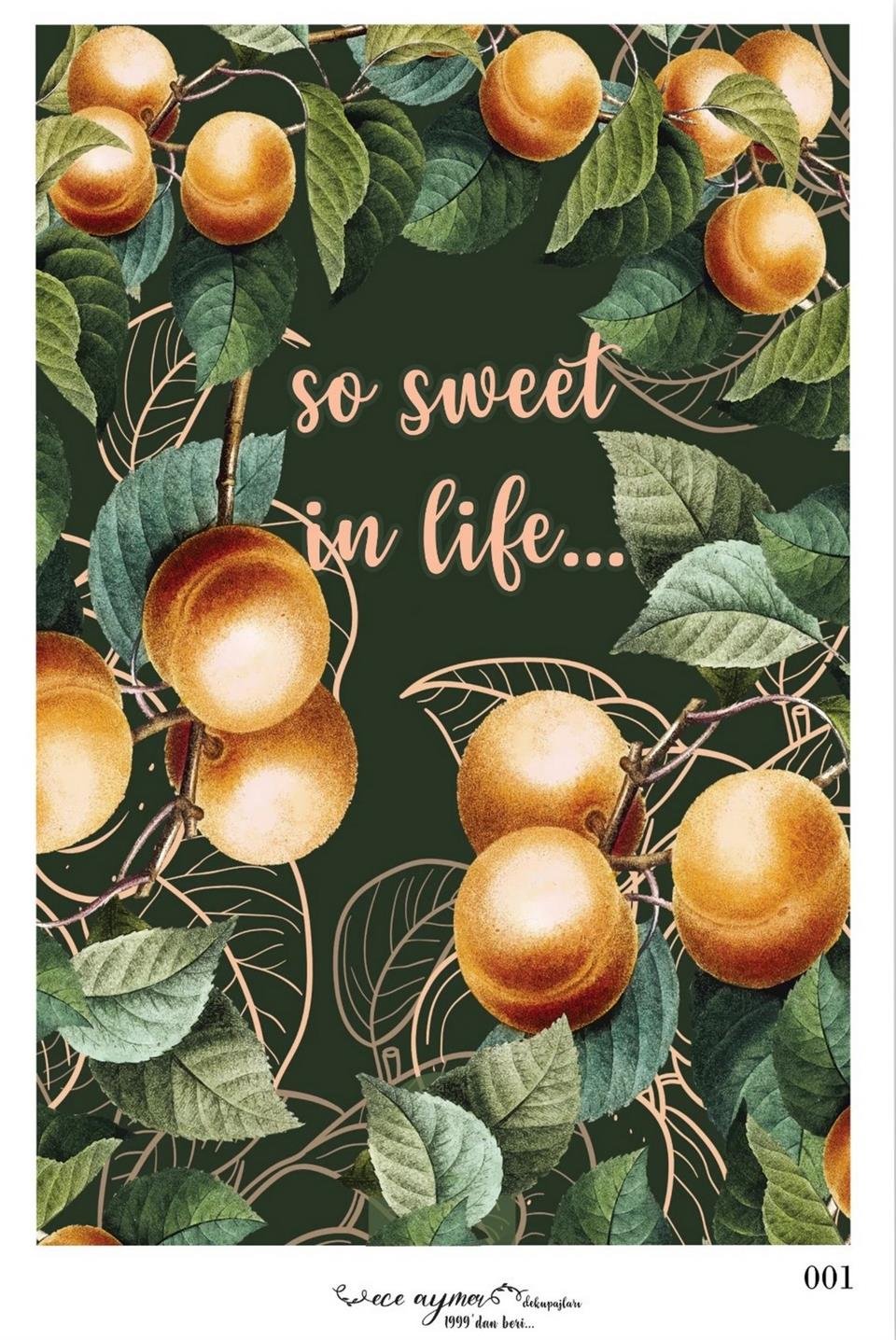 ECE AYMER PİRİNÇ KAĞIDI 001