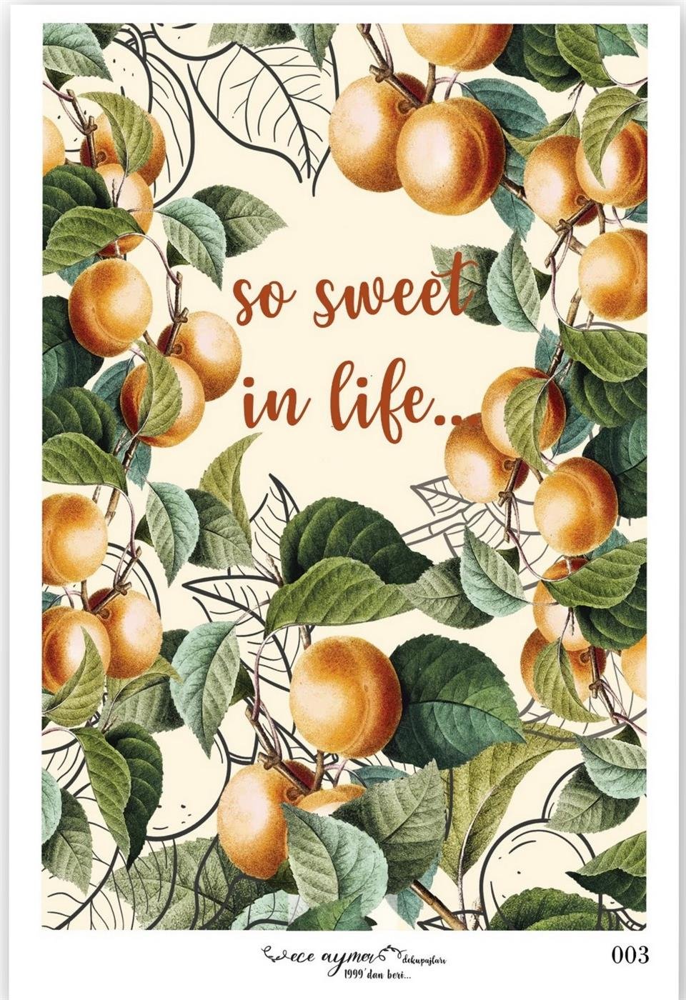 ECE AYMER PİRİNÇ KAĞITLARI 003