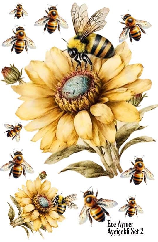 PROFESYONEL ÇIKARTMA KAĞIDI AYÇİÇEKLİ SET 1