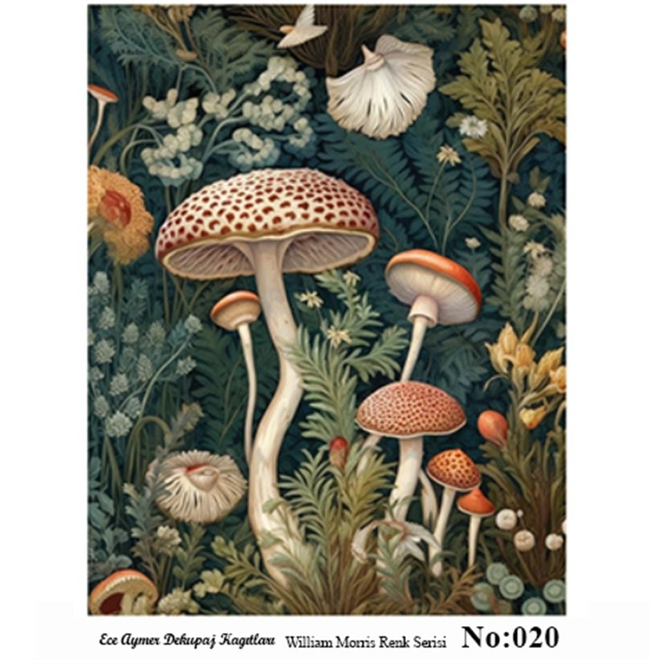 william morris renk 020