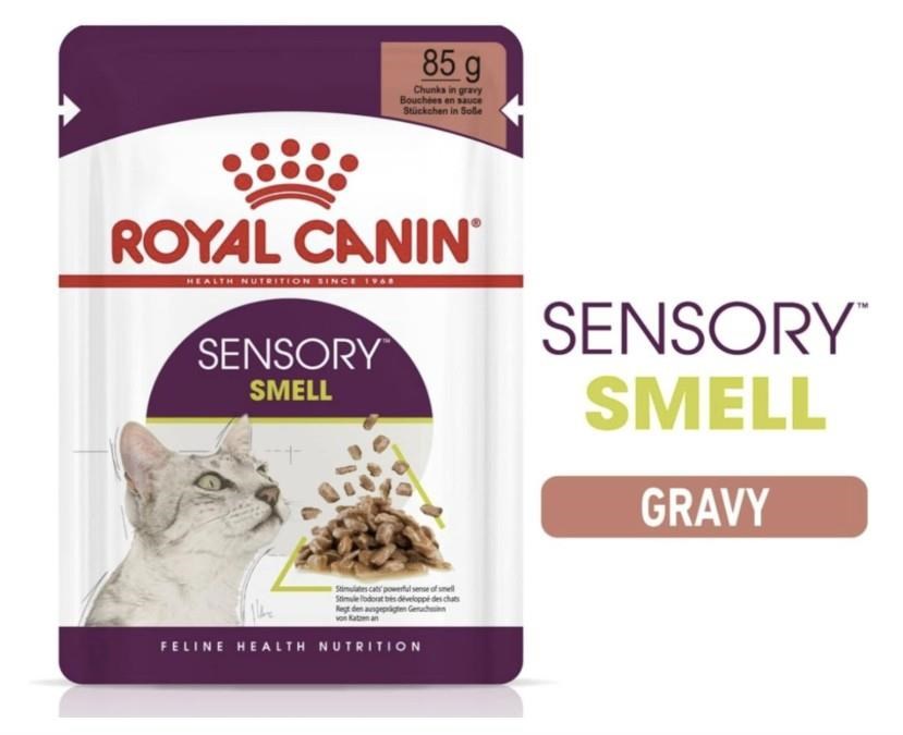 Royal Canin Sensory Smell Gravy Kedi Konservesi 12x85 gr