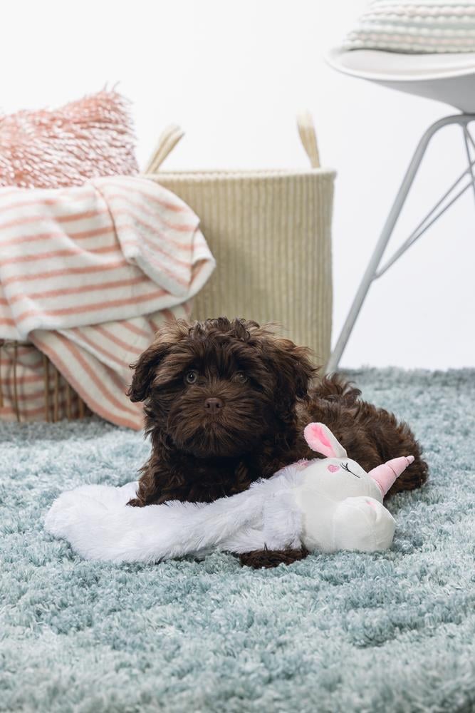 Beeztees Yavru Köpek Oyuncağı, Unicorn, Peluş, Beyaz, 74x14x15cm