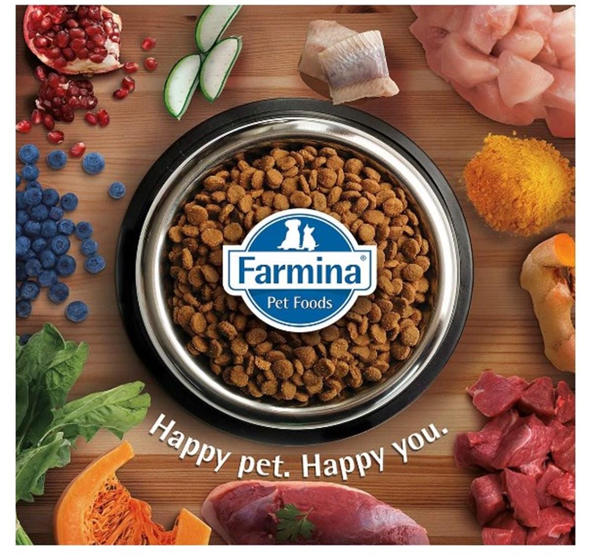 N&D Pumpkin Kuzu Yaban Mersini Kısırlaştırılmış Kedi Maması 1,5 Kg