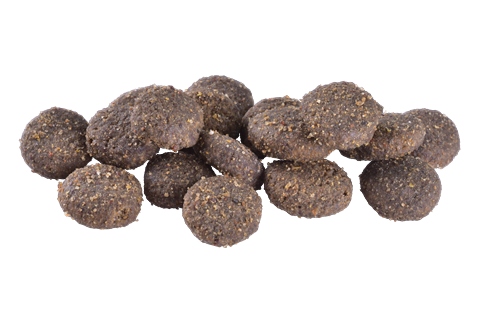 Brit Care Yarışma Köpekleri Kondisyonu İçin, Hipoalerjenik, Somonlu Ve Ringa Balıklı Kuru Mama 3 kg