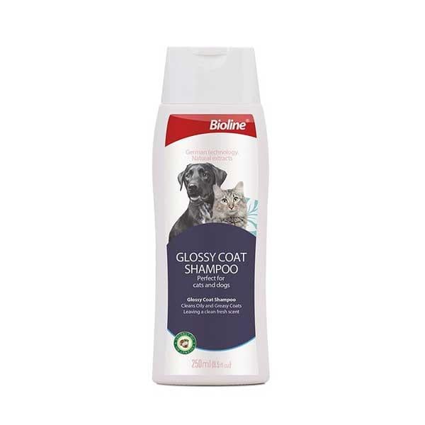 Bioline Yağlı Tüylü Kedi ve Köpek Şampuanı 250 Ml