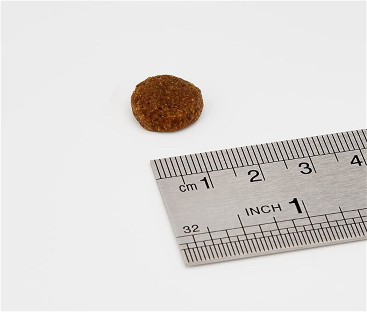 Acana Pacifica Tahılsız Yetişkin Köpek Maması 2 Kg