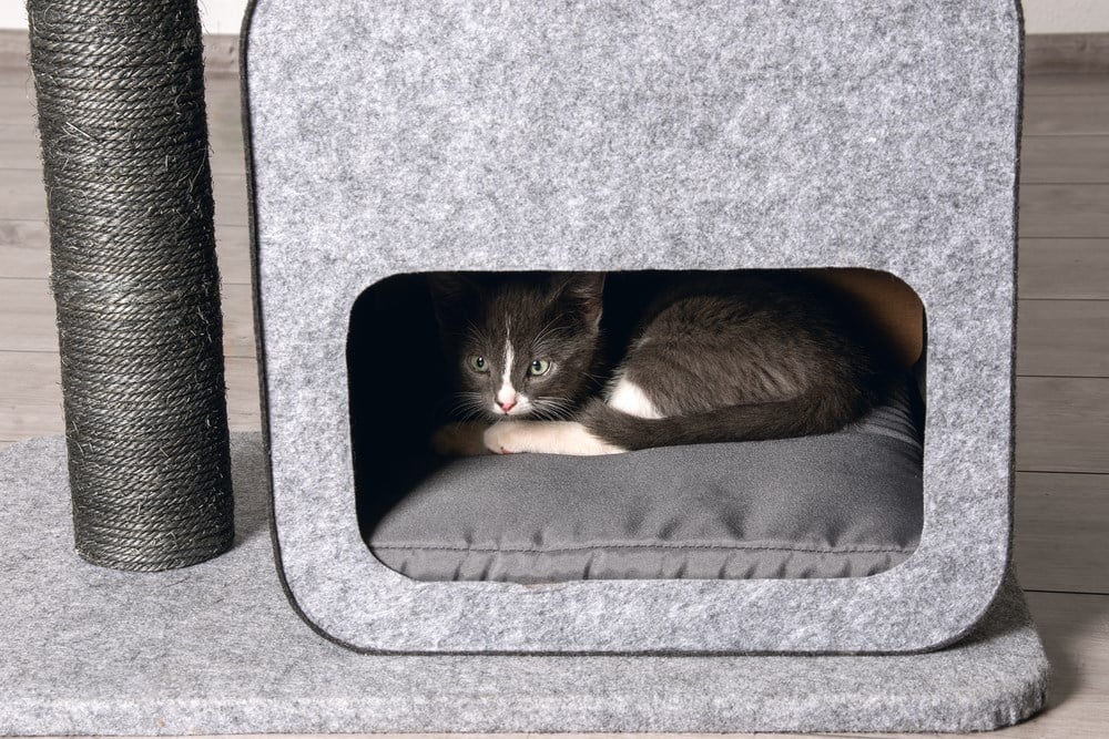 Karlıe Kedi Tırmalama+ev Flavıe Gri 60x40x77cm