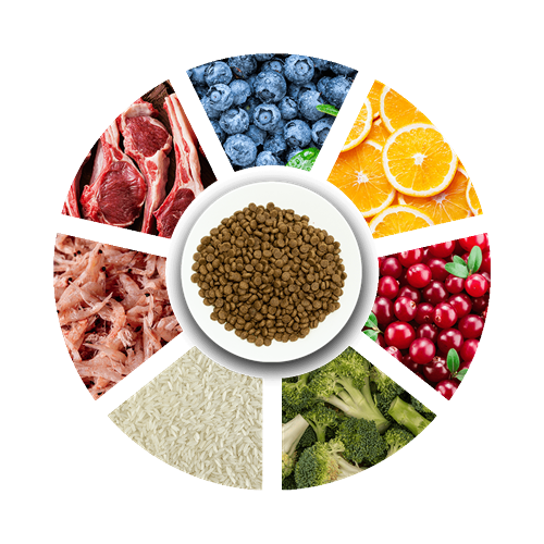 Prochoice Yavru Köpekler İçin, Hipoalerjenik, Kuzu Etli Ve Pirinçli Kuru Mama 12 kg