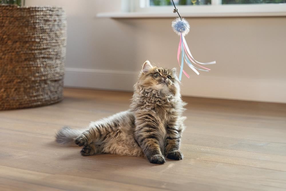 Beeztees Kedi Oltası, Zilli, Tüylü Top ve Kurdelalar,