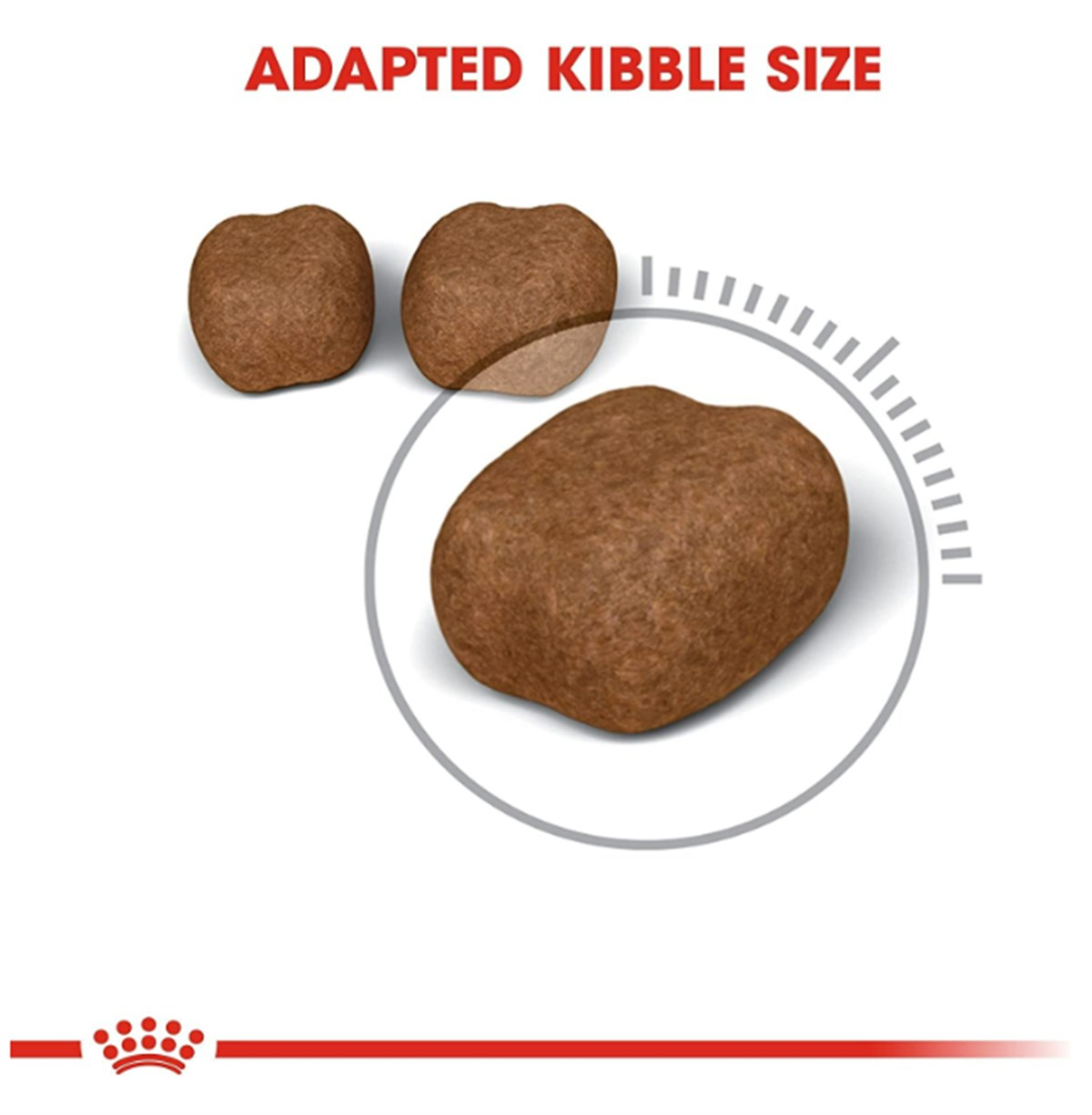 Royal Canin Oral Care Hassas Dişler İçin Kuru Kedi Maması 1,5 Kg