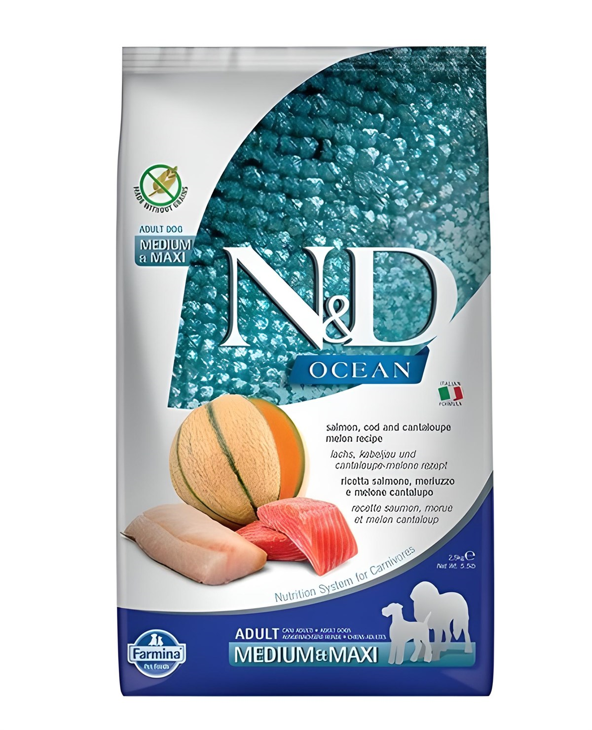 N&D Ocean Somon Ve Morina Kavunlu Büyük Ve Orta Irk Köpek Maması 2,5 Kg