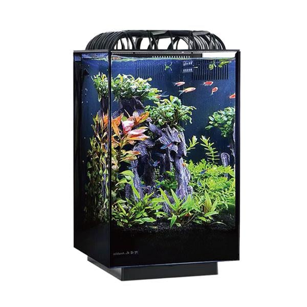 Anubias Labeo 25 Nano Akvaryum Siyah 25 x 25 x 40 Cm