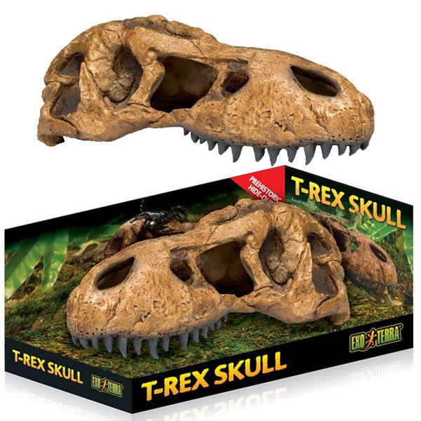 Exo Terra Trex Kafatası Şekilli Sürüngen Yuvası
