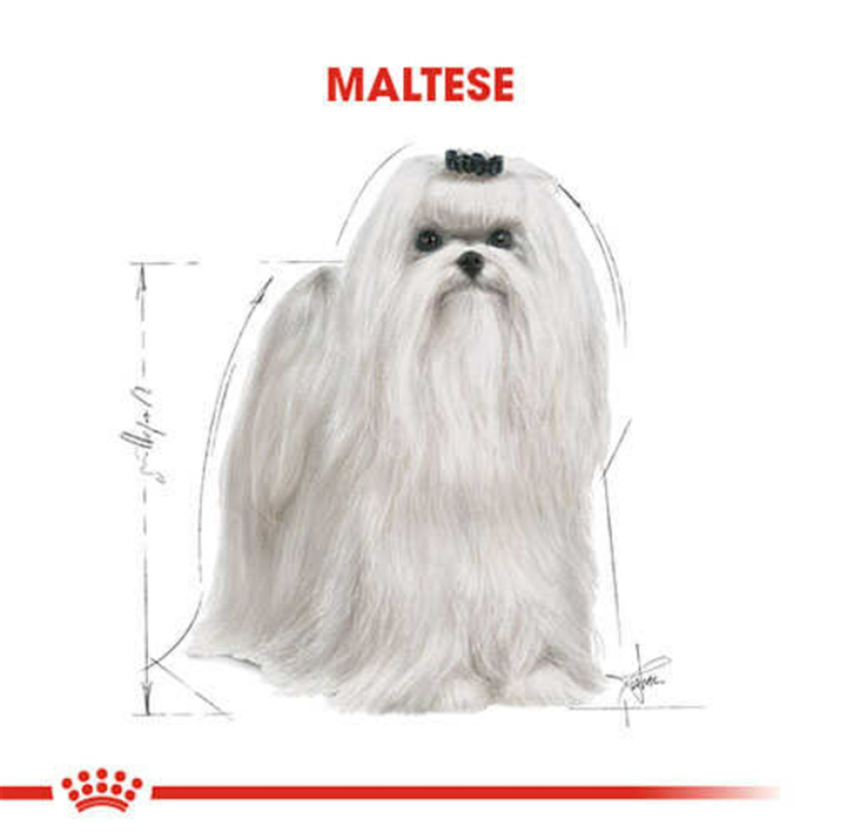 Royal Canin Maltese Yetişkin Köpek Maması 1,5 Kg