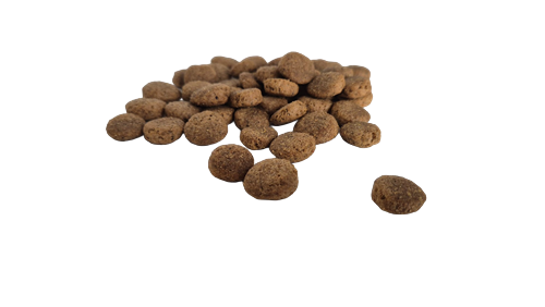 Bestpet Yetişkin Köpekler İçin Kuzu Etli Kuru Mama 15 kg