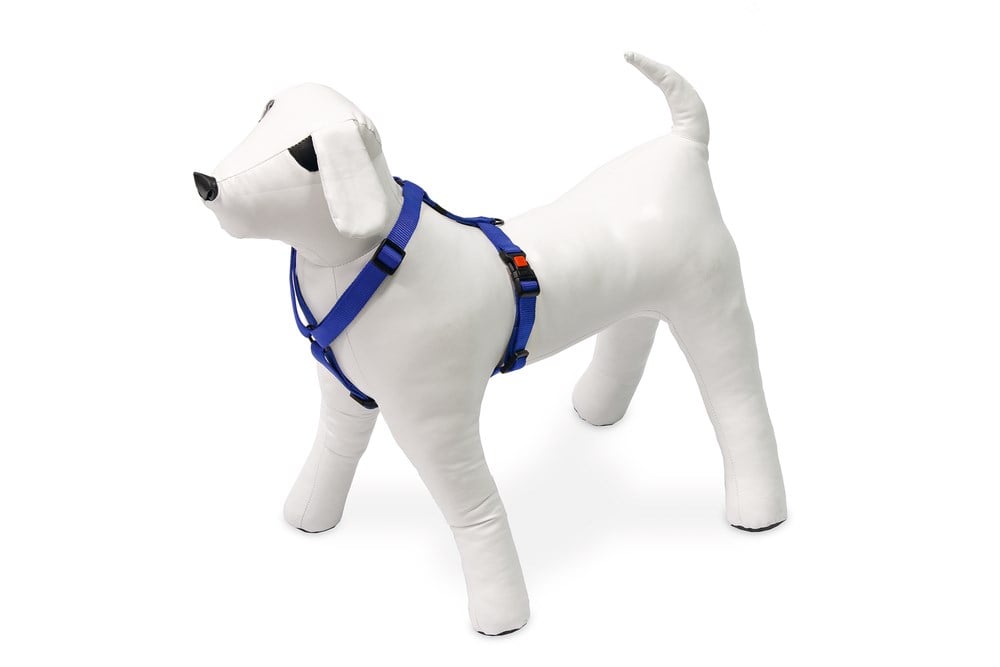 Karlıe Köpek Göğüs Tasması M Mavi 45-70x2