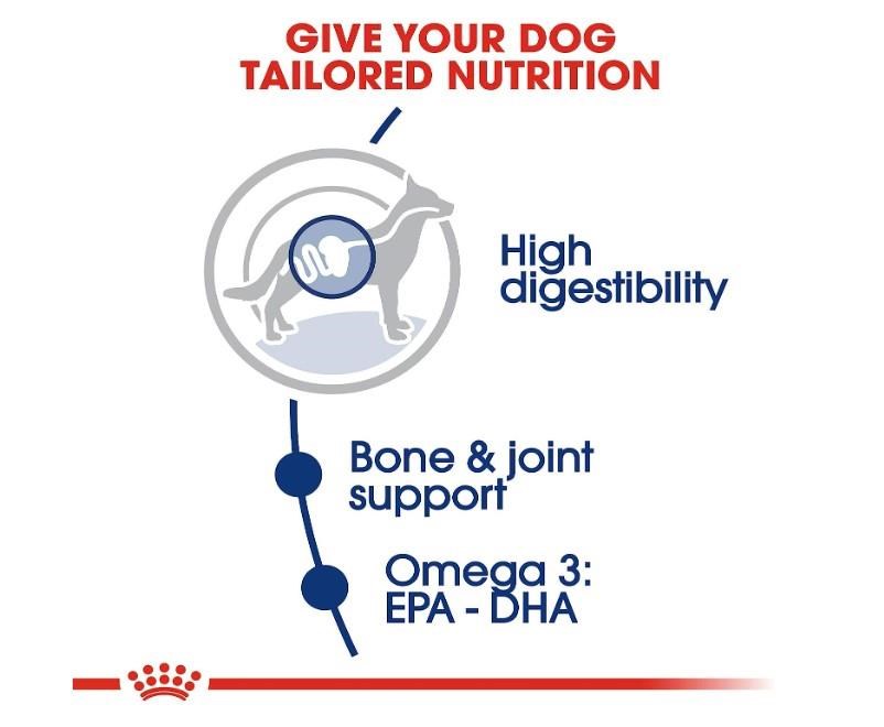 Royal Canin Maxi Adult Kuru Köpek Maması 15 Kg