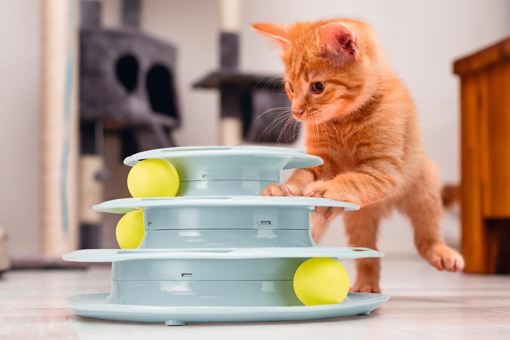 Beeztees Yavru Kedi Oyuncağı, 3 Katlı, 25x25x13cm