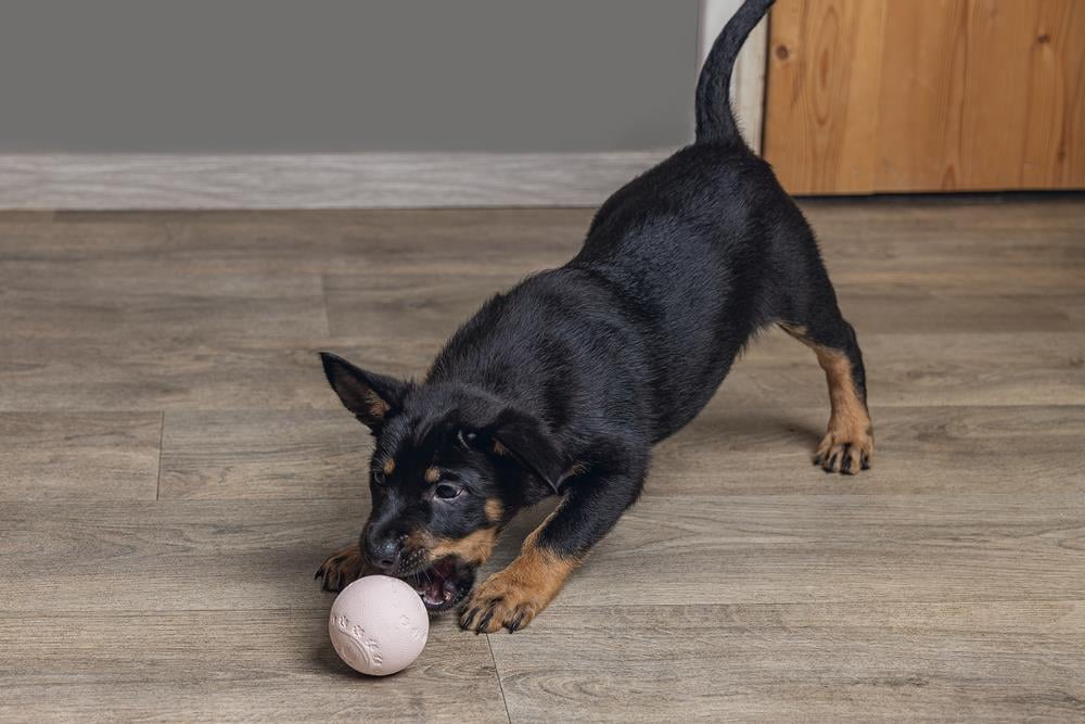 Beeztees Yavru Köpek Oyuncağı, Top, Kauçuk, Pembe, 6cm