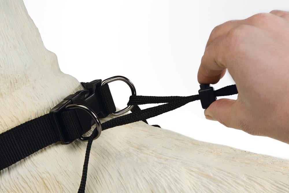 Beeztees Köpek Yürüyüş Eğitim ve Düzeltme Tasması, S