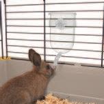 Imac Bıbber 800 Ml Suluk