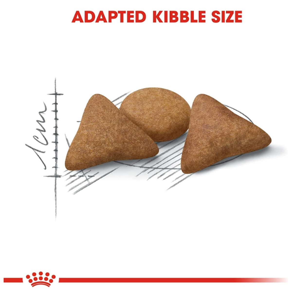 Royal Canin British Shorthair Yetişkin Kuru Kedi Maması 4 Kg