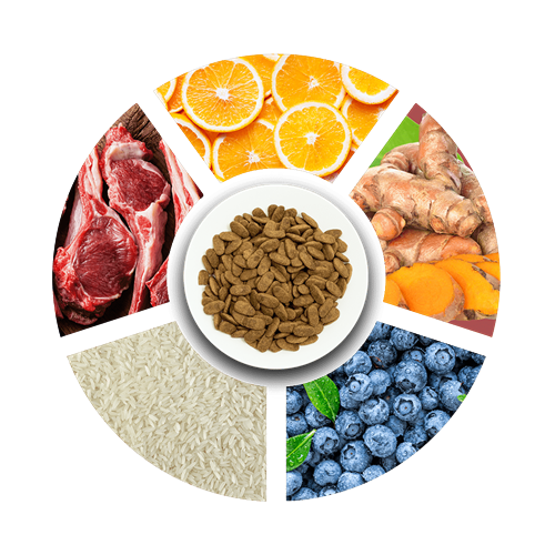 Prochoice Yetişkin Köpekler İçin, Hipoalerjenik, Kuzu Etli Ve Pirinçli Kuru Mama 18 kg