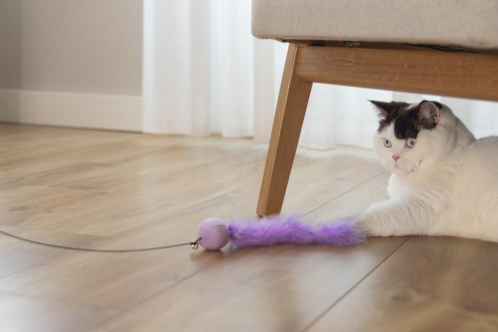 Beeztees Kedi Oltası, Zilli, Peluş Top ve Kuyruk,