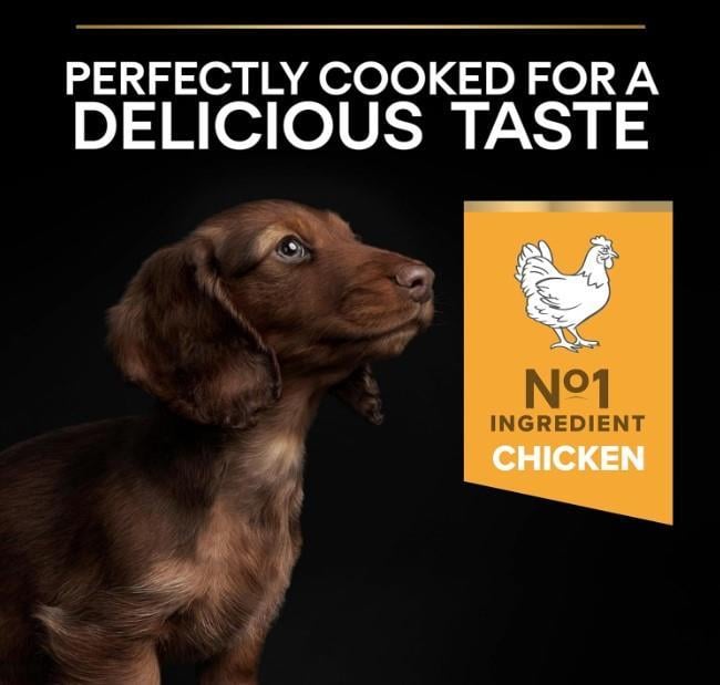 Pro Plan Small & Mini Tavuklu Yavru Köpek Maması 3 Kg