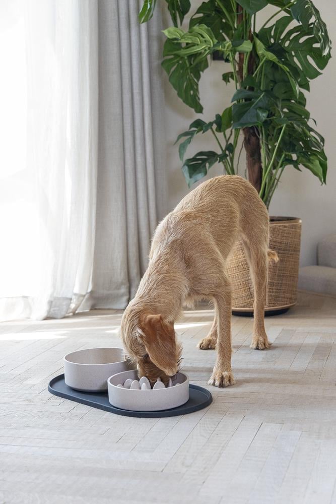 Beeztees DBL Mama Su Kabı Servisi, Silikon, Kaymaz, Antrasit, 55x30x1,7cm