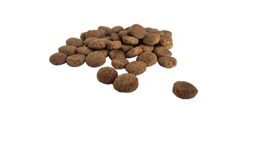 Bestpet Yetişkin Köpekler İçin Kuzu Etli Kuru Mama 15 kg