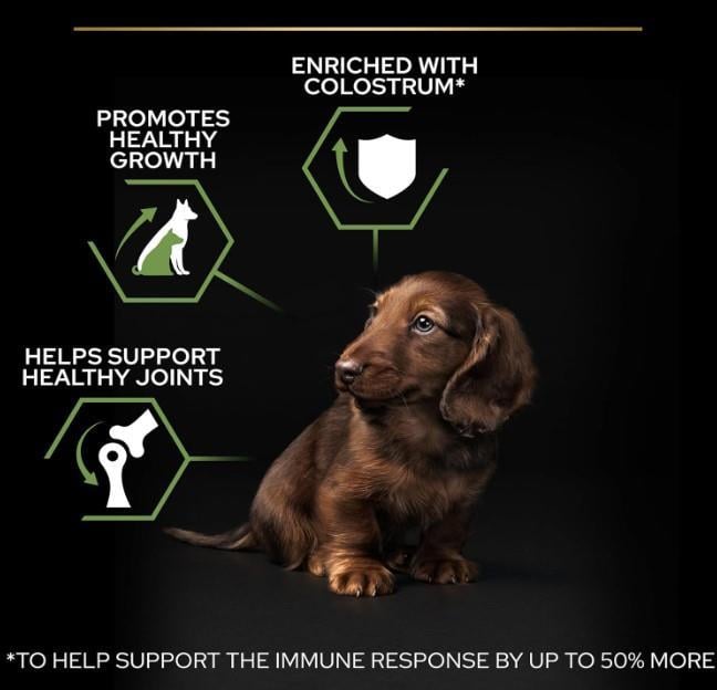 Pro Plan Small & Mini Tavuklu Yavru Köpek Maması 3 Kg