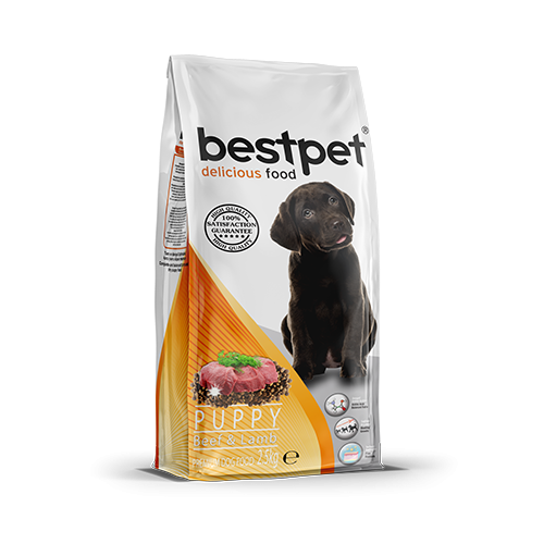 Bestpet Yavru Köpekler İçin Sığır Etli Ve Kuzu Etli Kuru Mama 15 kg