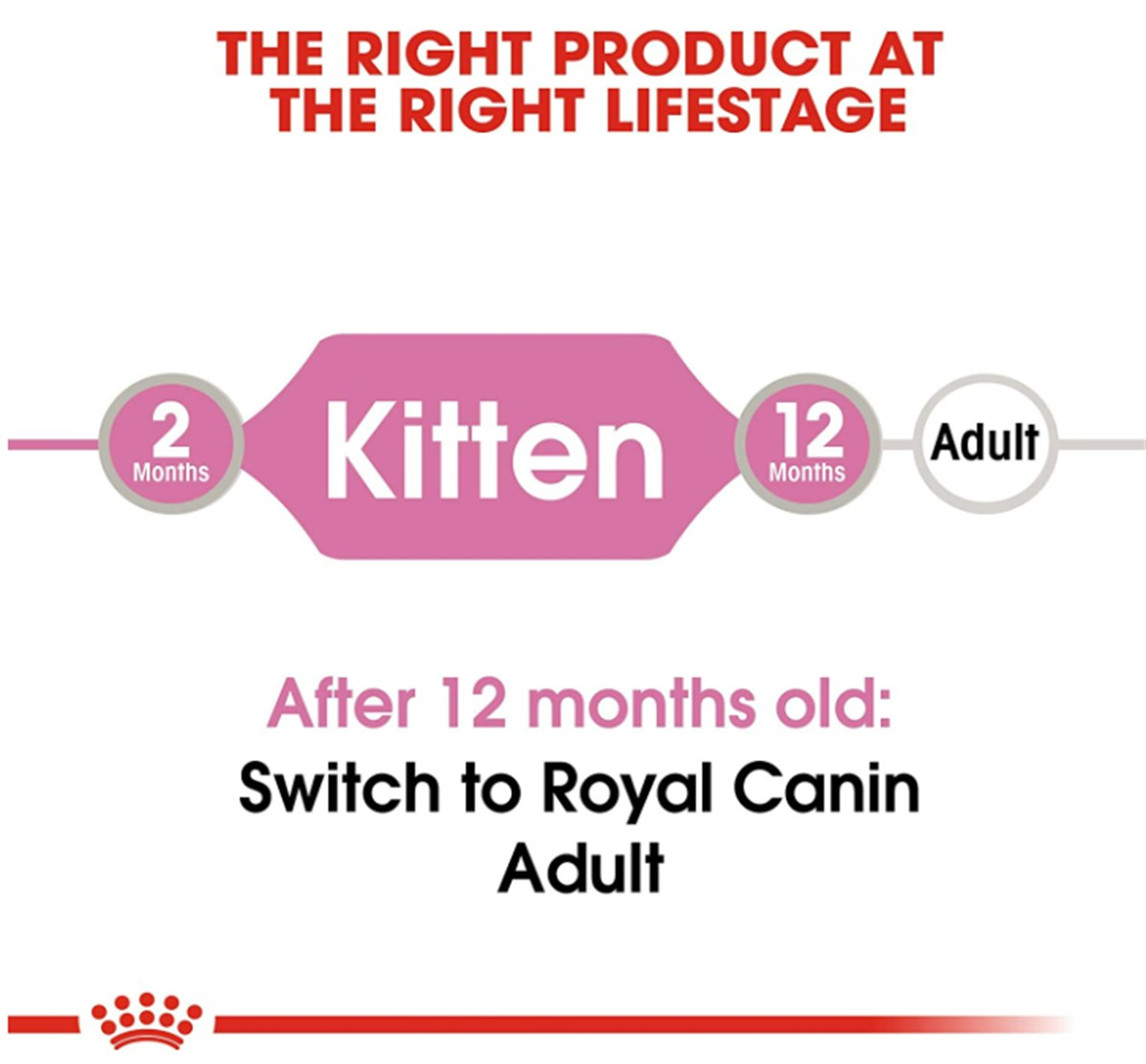 Royal Canin Kitten Gravy Yavru Kedi Konservesi 85 Gr