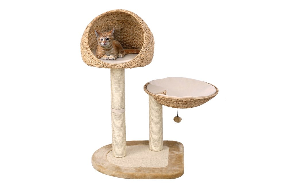 Karlıe Kedi Tırmalama Muz Yaprağı V 81x58x10cm