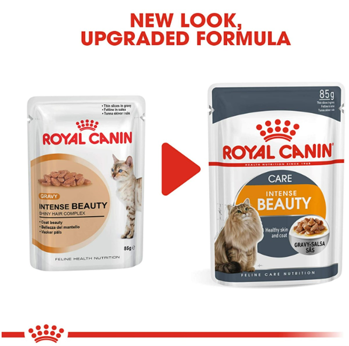 Royal Canin İntense Beauty Jelly Yetişkin Kedi Konserve 85 Gr