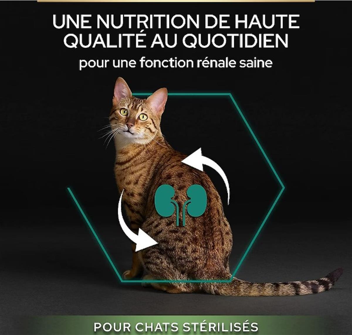 Pro Plan Kısırlaştırılmış Tavuk,Hindili Kedi Maması 10 Kg