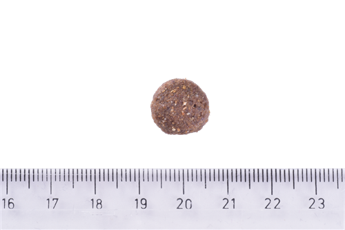 Brit Care Orta Irk Yetişkin Köpekler İçin, Tek Proteinli, Hipoalerjenik, Kuzu Etli Kuru Mama 3 kg