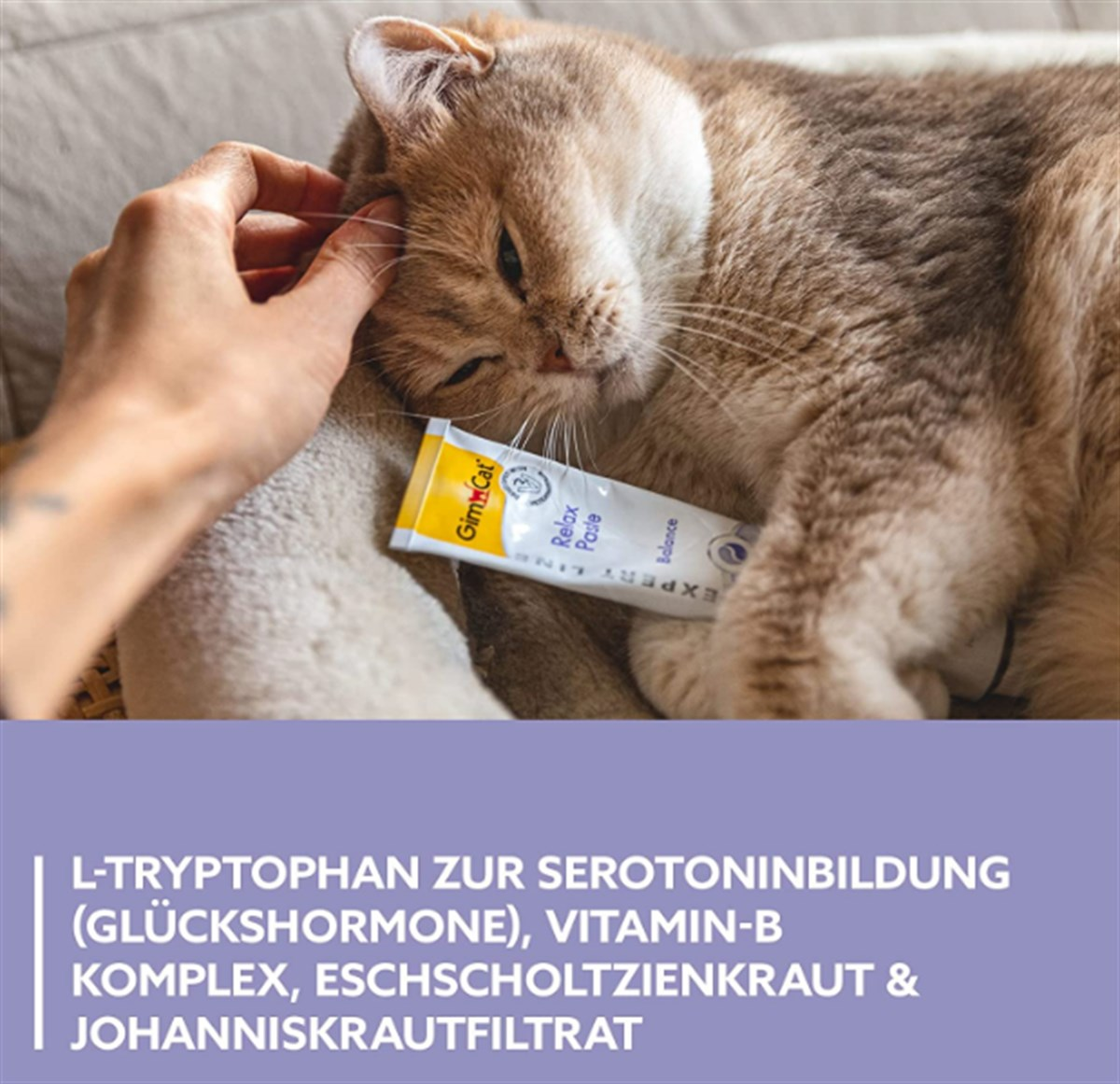 Gimcat Kedi Macunu Relax Paste 50 Gr