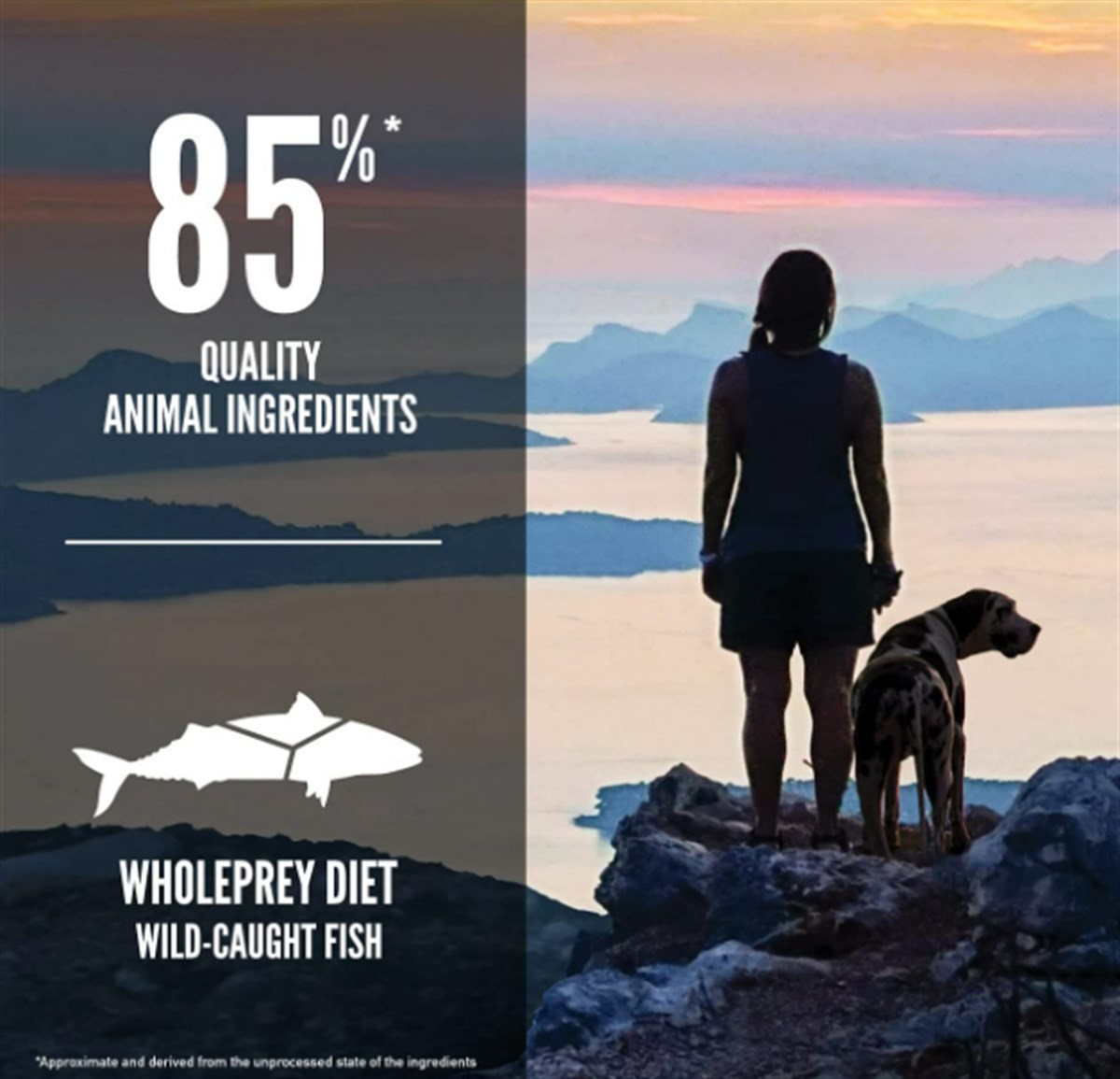 Orijen 6 Six Fish Tahılsız Balıklı Yetişkin Köpek Maması 2 Kg