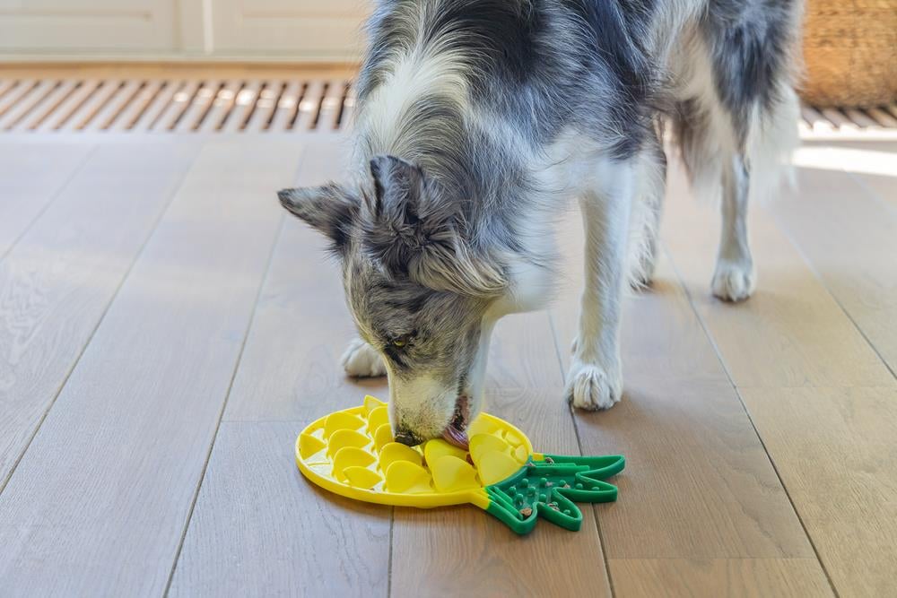 Beeztees Yavru Köpek Yaş Mama Yeme Oyuncağı, Ananas Şeklinde,Silikon, Sarı, 20x20cm